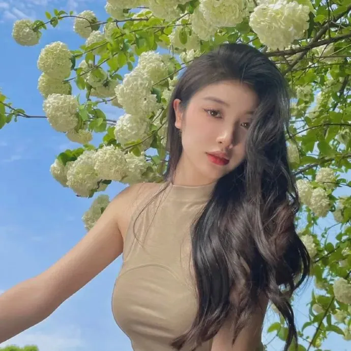 阳光灿烂的日子